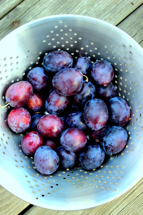 Prune Plums